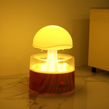 Rain Cloud Humidifier